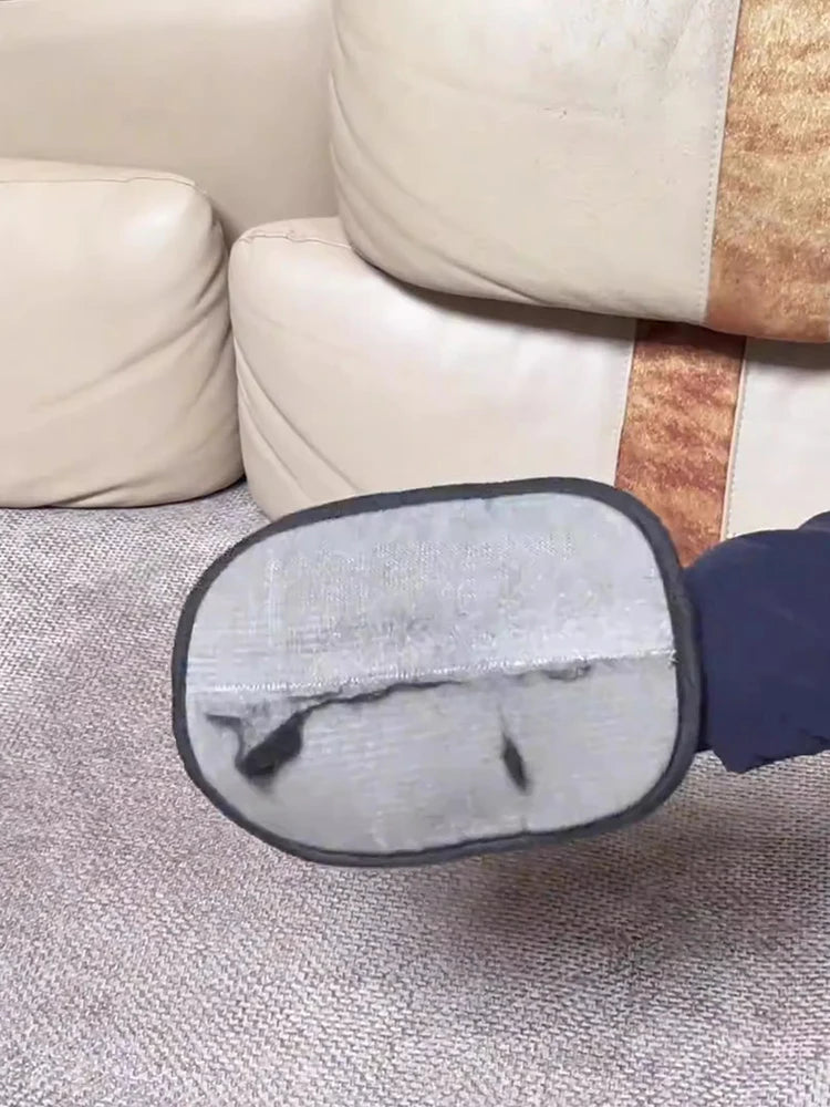 Fur-Free Living Mitt