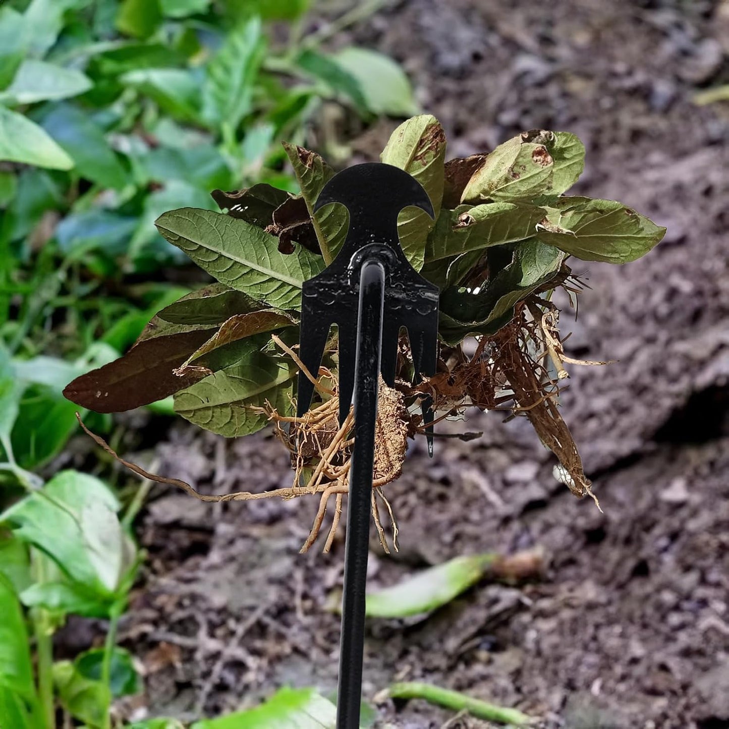 Easy Grip Garden Weed Puller
